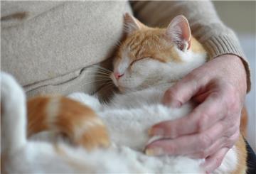 Ein Mann hält eine Katze im Arm, die dabei die Augen schließt.