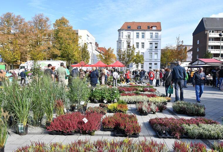 Die Besucher können ein großes Angebot an herbstlichen Pflanzen und Gartenzubehör entdecken.