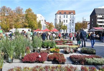 Die Besucher können ein großes Angebot an herbstlichen Pflanzen und Gartenzubehör entdecken.