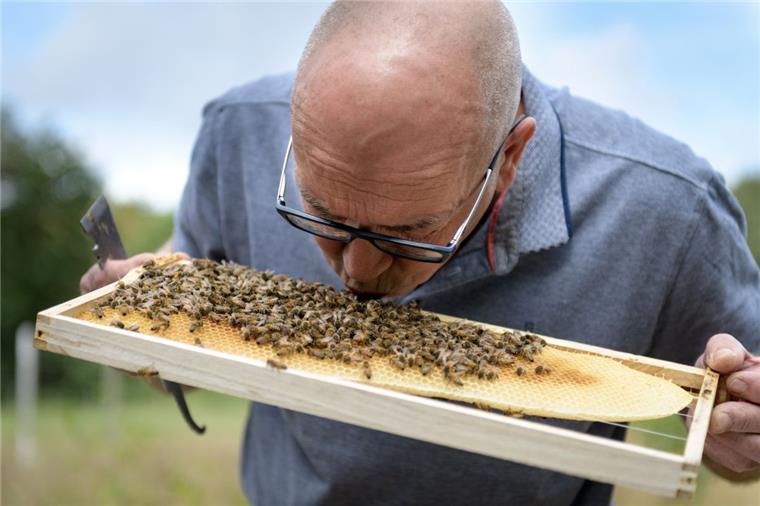 Die Bienen von Imkermeister Detlev Biel sind so zahm, dass er sie zur Begrüßung auch mal küsst. Einen Imkeranzug trägt er nur selten. 
