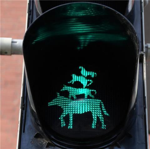 Die Bremer Stadtmusikanten leuchten als Grün-Anzeige an einer Ampel, die an einem Übergang zum Freimarkt steht.
