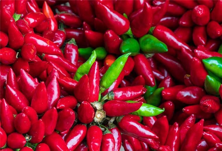 Rot und grüne Chilischoten