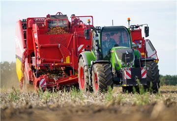 Ein Landwirt erntet mit einem Roder Kartoffeln auf einem Feld.