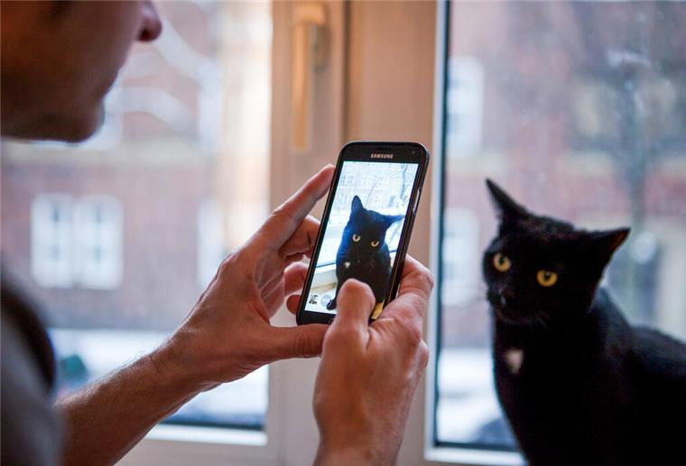 Ein Mann fotografiert seine Katze 