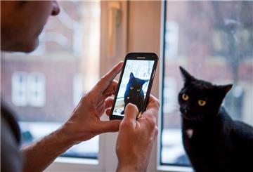 Ein Mann fotografiert seine Katze 