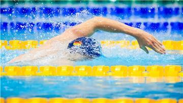 Die deutschen Schwimmer um Star Lukas Märtens haben wieder einen Bundestrainer. 