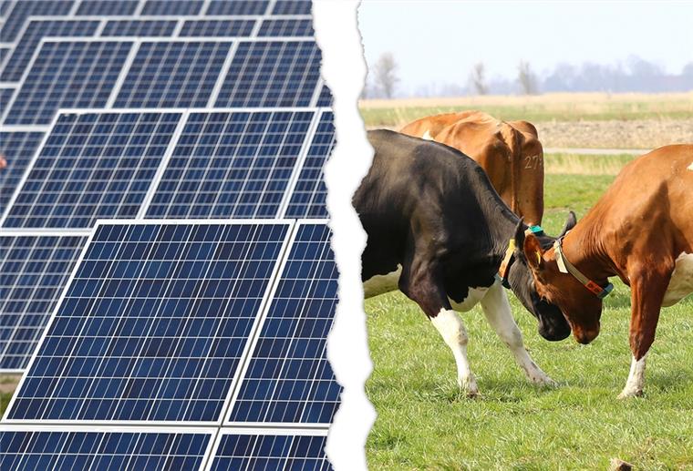 Die Diskussion um Freiflächen-Photovoltaikanlagen auf landwirtschaftlichen Flächen ist noch ganz neu. Butjadingen gehört zu den ersten Gemeinden der Region, die sie führen möchte.