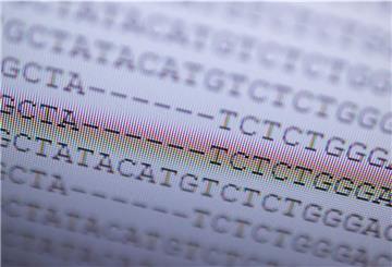 Die DNA-Analyse eines mutierten Coronavirus, die zuerst in Großbritannien aufgetreten ist: Diese Variante verbreitet sich auch in der Region immer mehr.