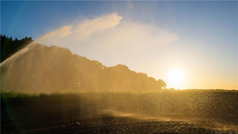 Die Dürre in Niedersachsen hält an, es ist kein langanhaltender Regen in Sicht. (Symbolfoto)
