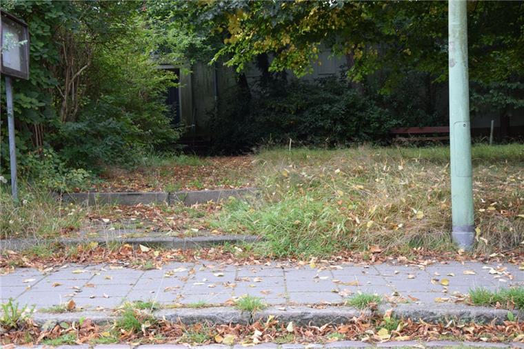 Die ehemalige öffentliche Grünanlage an der Straße Auf den Appels verkommt immer mehr zur Schmuddelecke. Der auswärtige Eigentümer kümmert sich nicht – zum Ärger der Anlieger in der Industriesiedlung in Wulsdorf.
