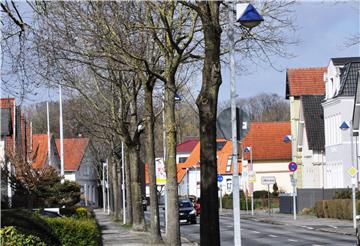 Die Eichen an der Bahnhofstraße werden gefällt.