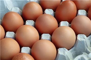 Die Eierpreise dürften in der kommenden Zeit erheblich ansteigen. Schuld ist unter anderem der Fipronil-Skandal.