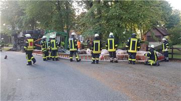 Die Einsatzkräfte der Feuerwehr konnten die entlaufenden Schweine schnell einfangen. Nur wenige Tiere kamen bei dem Unfall ums Leben.