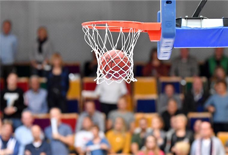 Die Eisbären Bremerhaven bereiten sich auf die neue Zweitliga-Saison vor. Ein Testspiel soll in der Stadthalle stattfinden.