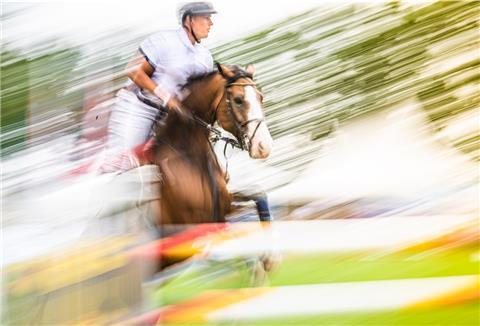 Die Elmloher Reitertage sind der Corona-Pandemie zum Opfer gefallen - Reitsport gibt es im Pferdedorf in diesen Tagen dennoch.