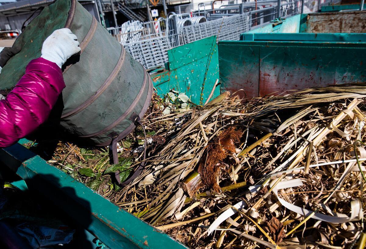 Grünabfall: Entsorgung an drei Standorten in der Gemeinde Butjadingen Eine Frau entleert Grünschnitt aus einem Falteimer in einen Container