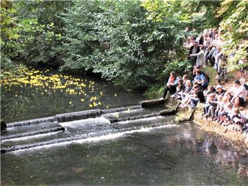 Die ersten Enten erreichen den Wasserfall, dann geht es auf die Zielgerade. Dicht dahinter das große Feld der Verfolger.