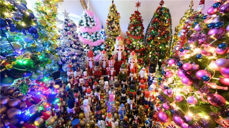 Weltrekordversuch geglückt: 600 Weihnachtsbäume in Rinteln Die Familie Jeromin bricht den eigenen Rekord im Sammeln von Weihnachtsbäumen.