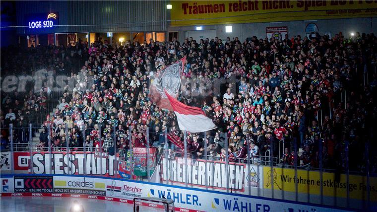 Pinguins starten in Straubing in die neue DEL-Sasion