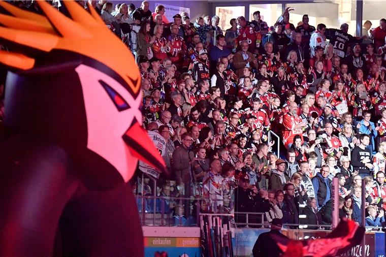 Die Fans der Fischtown Pinguins sind auswärts oft zahlreich mit dabei.