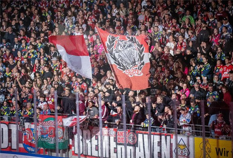 Die Fans der Fischtown Pinguins stehen wie eine Wand hinter ihrer Mannschaft.
