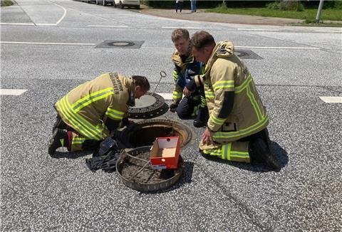 Die Feuerwehr Bremerhaven hat vier Entenküken gerettet.