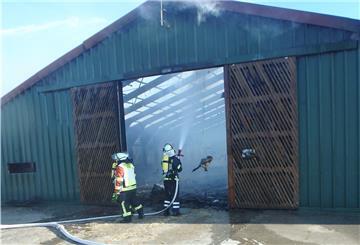 Die Feuerwehr konnte den Stall lediglich kontrolliert abbrennen lassen.