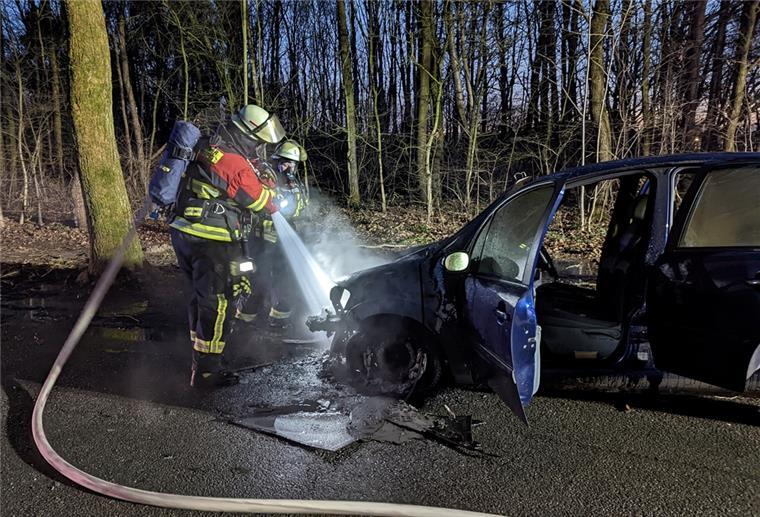 Die Feuerwehr löschte die aus dem Motorraum schlagenden Flammen. 