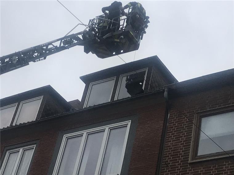 Bremerhaven: Feuerwehr rettet Katze und Mann von Dach Die Feuerwehr muss in Geestemünde einen Mann und dessen Katze vom Dach retten.