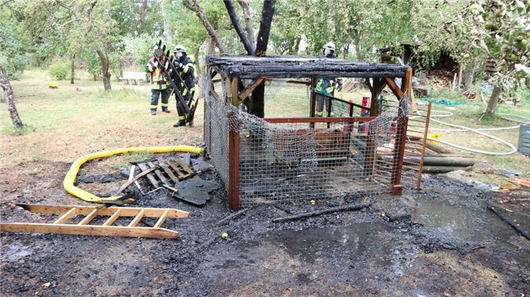 Imsum: Feuerwehr rettet Kaninchen aus brennendem Gehege Die Feuerwehr rettet in Imsum zwei Kaninchen aus einem brennenden Gehege.