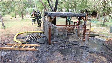 Die Feuerwehr rettet in Imsum zwei Kaninchen aus einem brennenden Gehege.