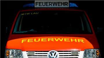 Die Feuerwehr war mit einem Fahrzeug und drei Einsatzkräften zu dem Kater gefahren. (Symbolbild)