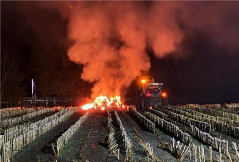 Die Feuerwehr wurde am Donnerstagmorgen zu mehreren Bränden auf Feldern - wie hier in Loxstedt - entlang der A27 gerufen.