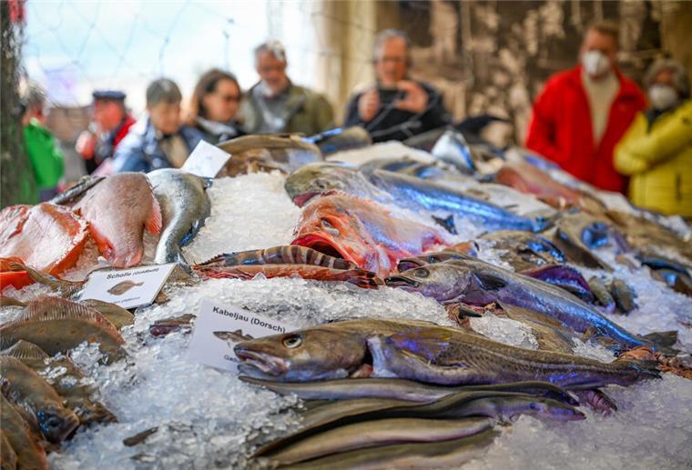 Fische auf Eis