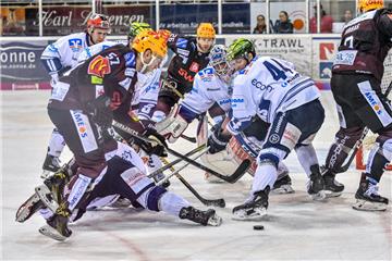 Die Fischtown Pinguins aus Bremerhaven planen ihre Zukunft weiter in der DEL.