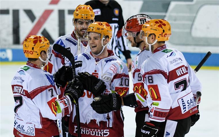 Darum richten die Pinguins ihr Trainingslager in Chomutov aus Die Fischtown Pinguins bestreiten ein Trainingslager in Tschechien.