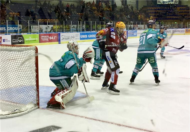 Fans der Pinguins feiern „Heimsieg in Holland“ Die Fischtown Pinguins feierten beim Turnier in Heerenveen einen Sieg gegen Düsseldorf.