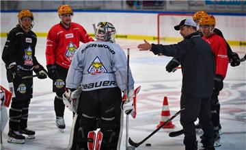 Die Fischtown Pinguins präsentieren sich am Sonntag beim Tag der Fans. 