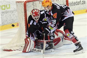 Eiswhockey DEL Fischtown Pinguins - Nürnberg ICE Tigers6.1.17 Foto Scheer