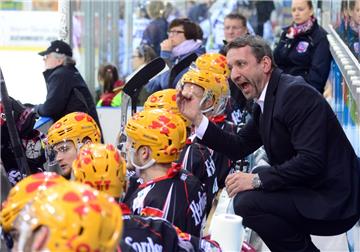Die Fischtown Pinguins stehen im Endspiel um den SWB-Cup. Foto Scheer