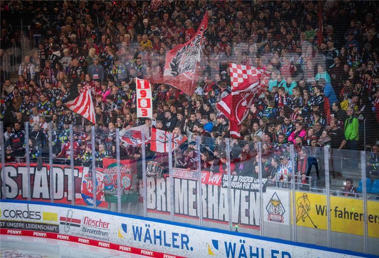 Die Fischtown Pinguins stehen im Halbfinale der Deutschen Eishockey-Liga.