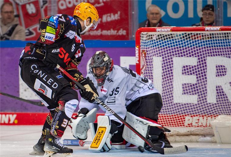 Fischtown Pinguins