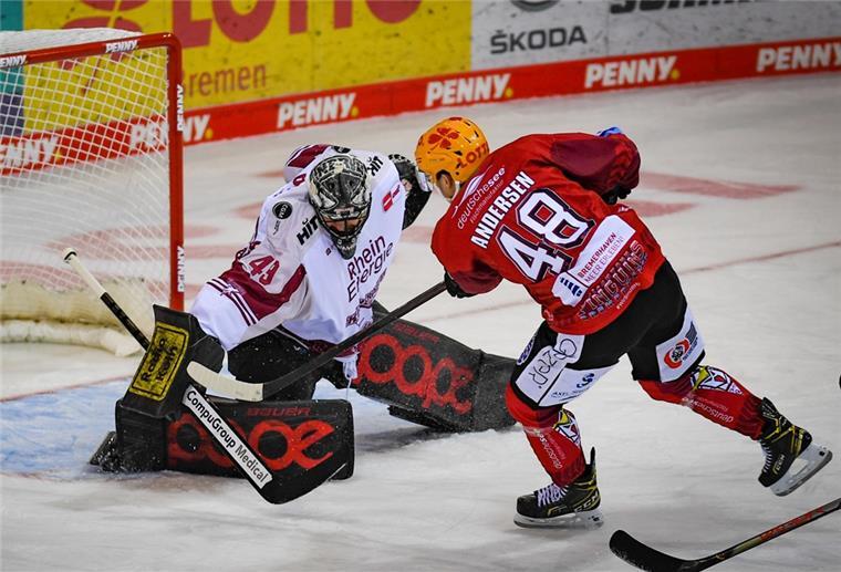 Die Fischtown Pinguins um Niklas Andersen wollen gegen die Kölner Haien zurück in die Erfolgssour finden.