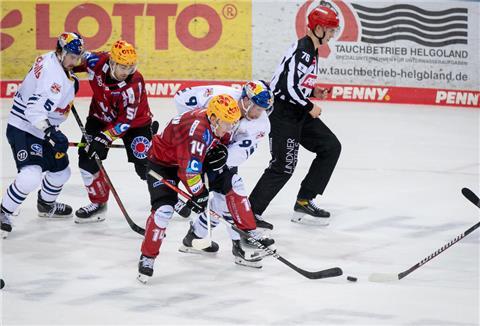 Die Pinguins wollen Meister München ärgern