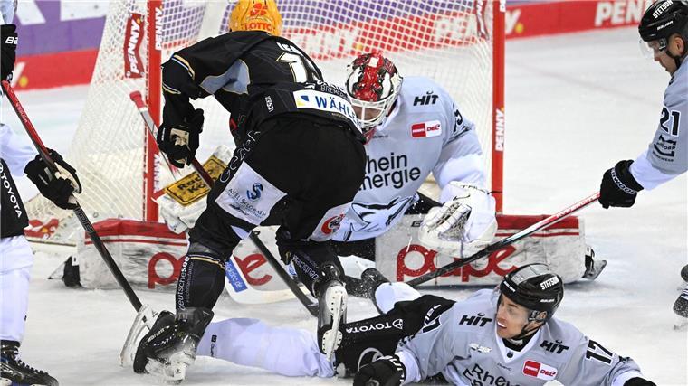Die Fischtown Pinguins und die Kölner Haie lieferten sich im Playoff-Viertelfinale ein enges Spiel.
