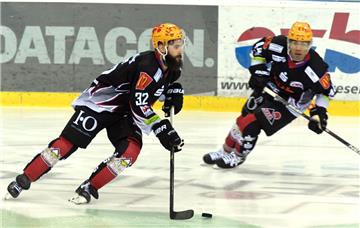 Die Fischtown Pinguins zeigten auch gegen DEL-Tabellenführer Kölner Haie eine behertze Leistung. Zu Punkten reichte das aber nicht.