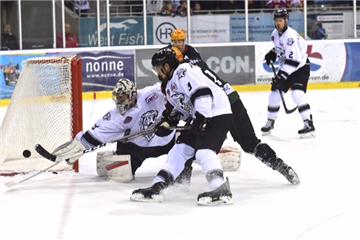 Die Fischtown Pinguins zeigten gegen die Nürnberg Ice Tigers ein ganz starkes Spiel.