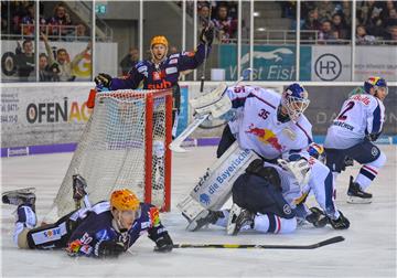 Die Fischtown Pinguins zeigten sich auch gegen den amtierenden Meister Red Bull München eine gute Leistung.