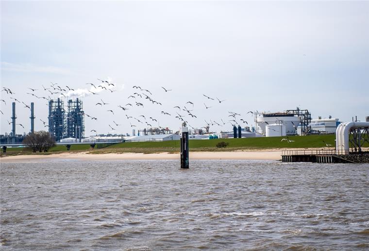 Die Fläche der zukünftig benötigten Hafenerweiterung für das geplante Import-Terminal für Flüssigerdgas an der Elbe.