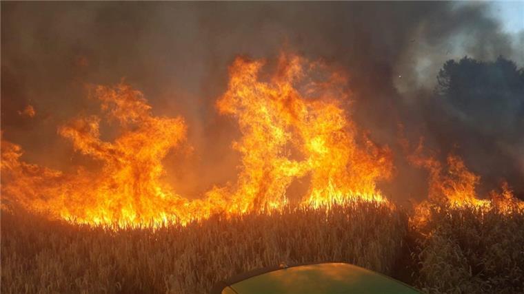 Brand in Midlum: Held rettet den Campingplatz Die Flammen auf dem Feld in Midlum breiteten sich rasant aus.
